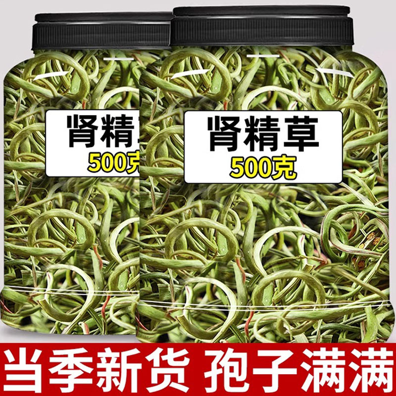 长白山野生肾精草嗷嗷叫东北化石草肾精茶黄金草正品官方旗舰店