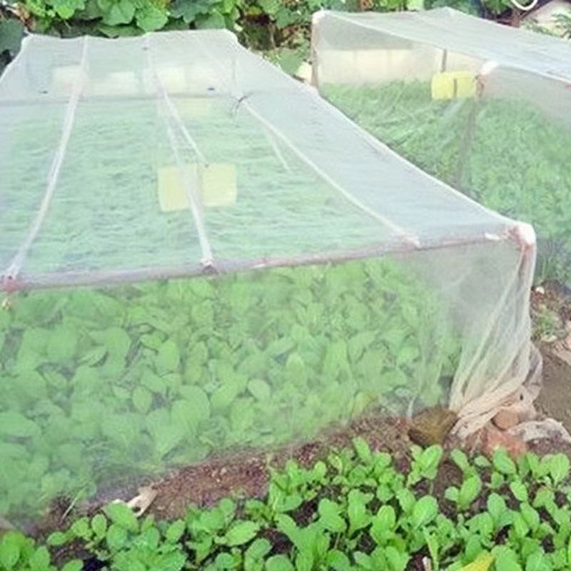 热销防虫网种菜专用防虫网种菜专用网蔬菜农用防虫网果.树防鸟罩