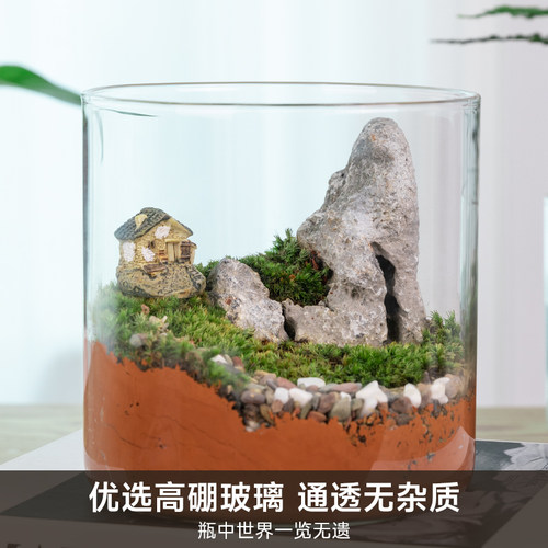 热销高硼硅玻璃花瓶m微景观空瓶水培植物瓶直筒罐艺术插花客厅花