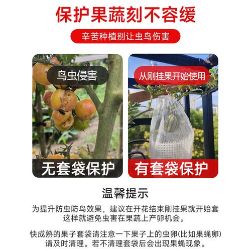 热销水果防虫防鸟网袋p保护果实葡萄套袋补光透气晾晒束口袋网眼