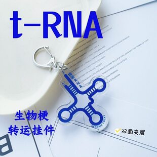 转运RNA挂件trna PASS Genius钥匙扣双面层生物科研趣味搞怪礼物