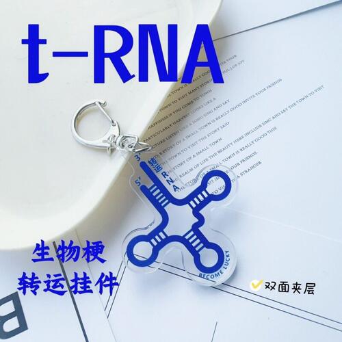 转运RNA挂件trna PASS Genius钥匙扣双面层生物科研趣味搞怪礼物