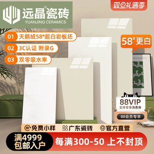 远晶 600x1200柔光天鹅绒瓷砖奶油色亮光客厅地砖厨卫墙砖微水泥