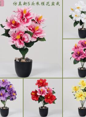 轻奢仿真新5头朱槿花盆栽客厅桌面假花摆件阳台仿真花造景装饰