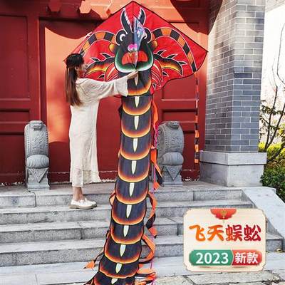 丽达2023新款式蜈蚣风筝大人专用高档大型不飞包退线轮