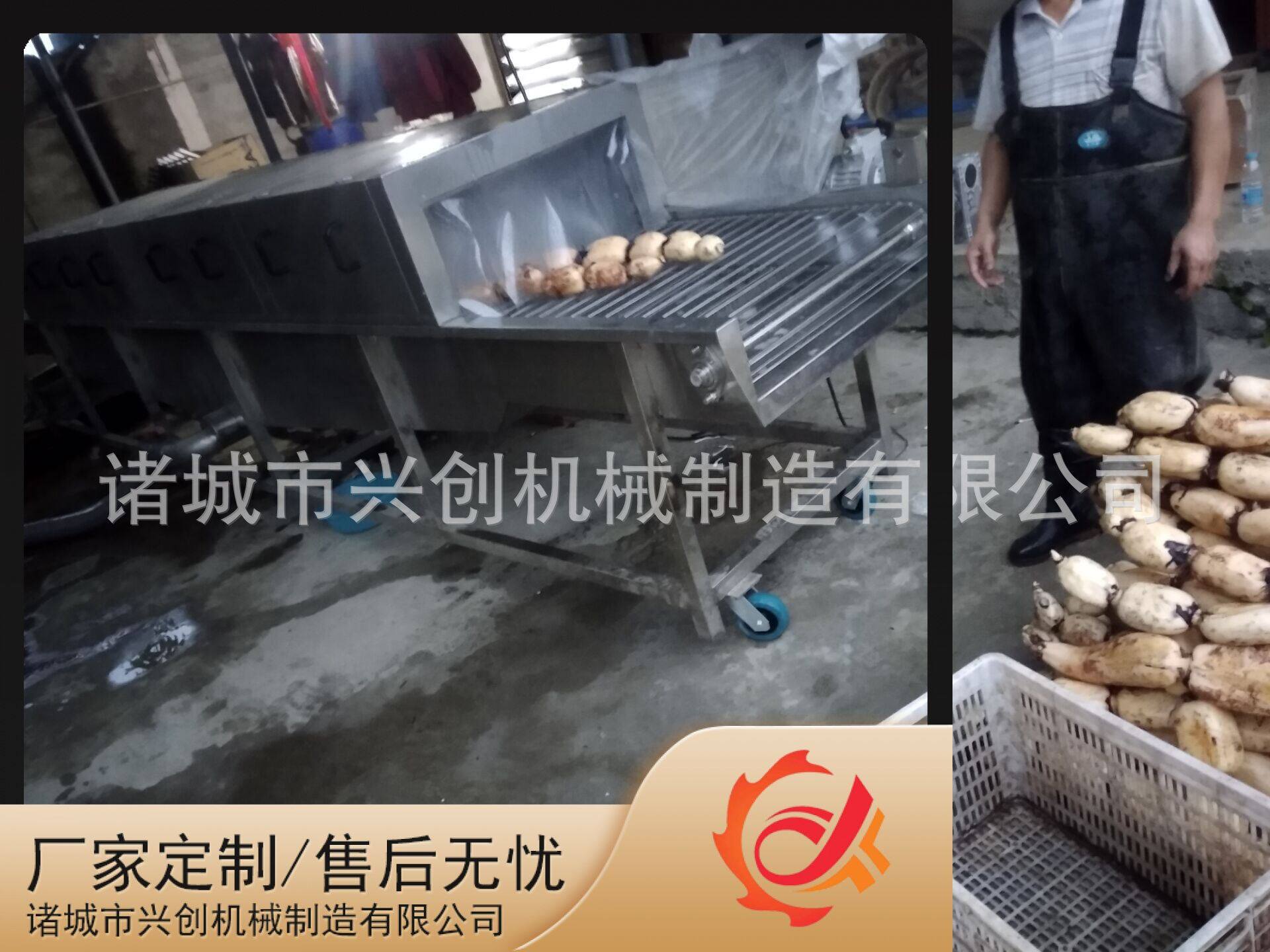 生姜清洗机莲藕去泥机高压喷淋清洗机大姜大产量清洗设备可定