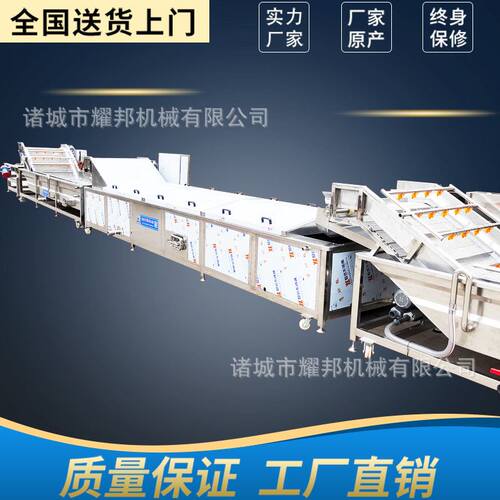 毛豆速冻流水线 整套毛豆保鲜生产线 毛豆杀青加工机器