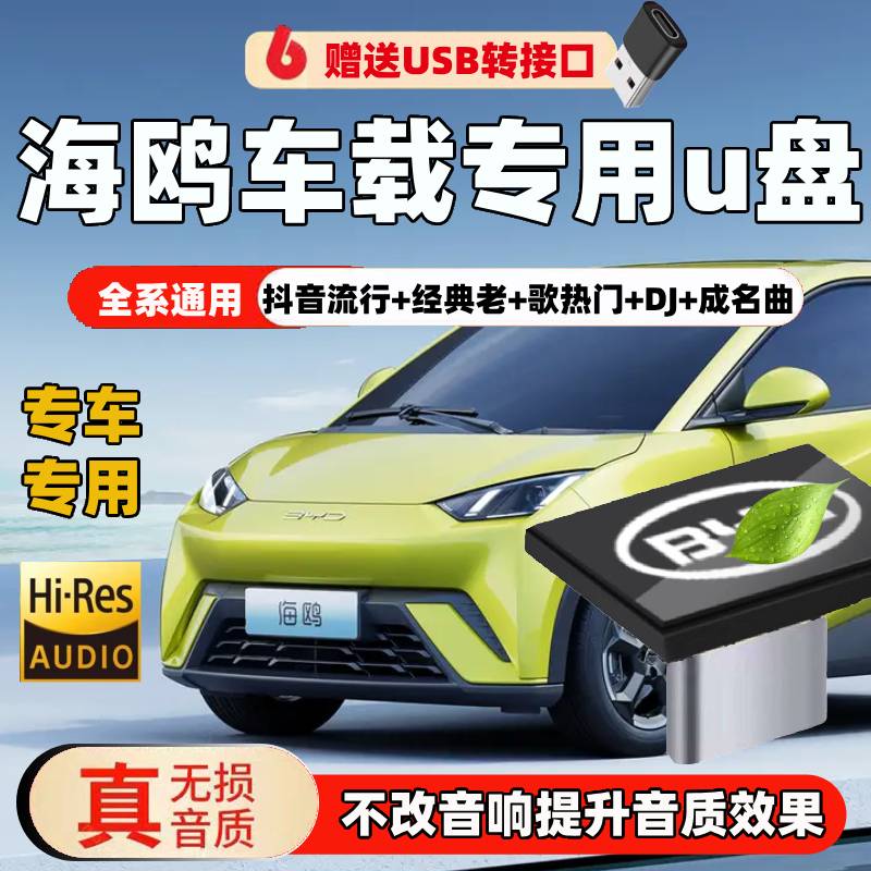 比亚迪海鸥车载u盘typec小口无损歌曲汽车车用海鸥专用u盘带音乐