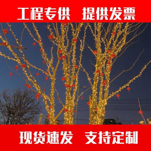 led小彩灯户外防水闪灯串