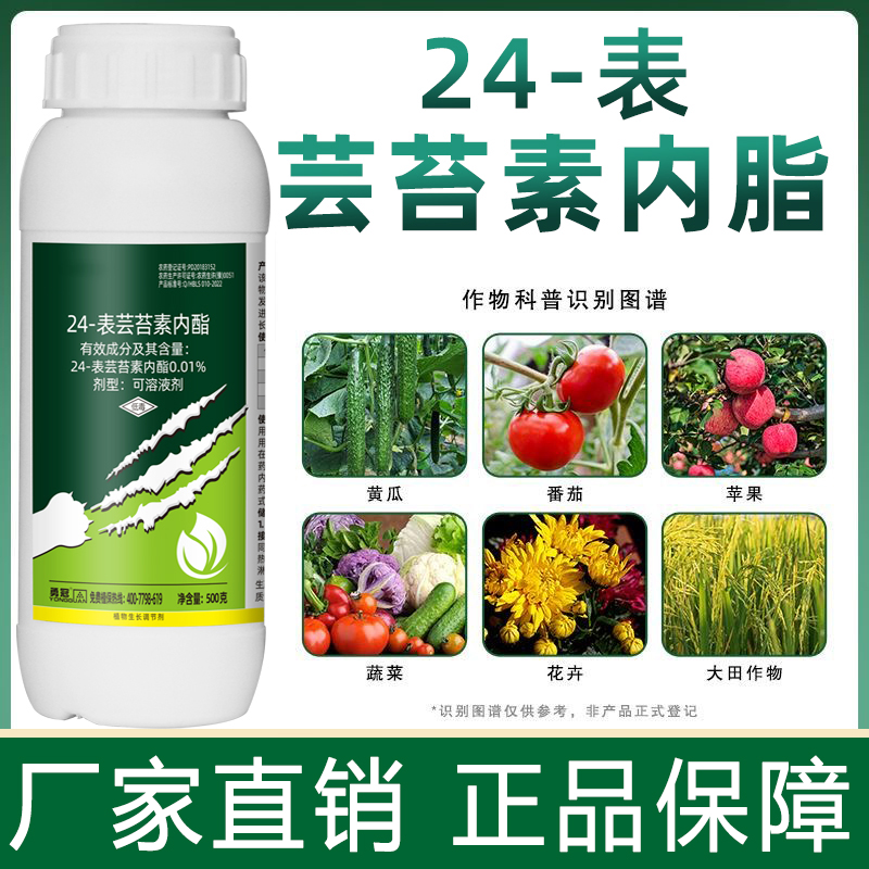 24-表芸苔素内脂蔬菜果树生长调节生根壮苗农药叶面肥农资正品