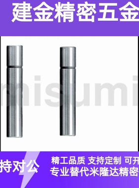 SGPR8/10/13/16/20/25-30/40/50/60/70/80/90/100/110 卸料板导柱