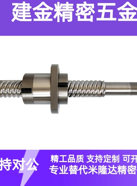 滚珠丝杠BSWE/BTWE/BTWP0802 1002 1204 1510 1520 2010 2510 05