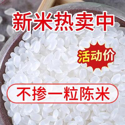 东北大珍珠米23新米年东北米真斤空寒地1020斤长粒香稻花香米