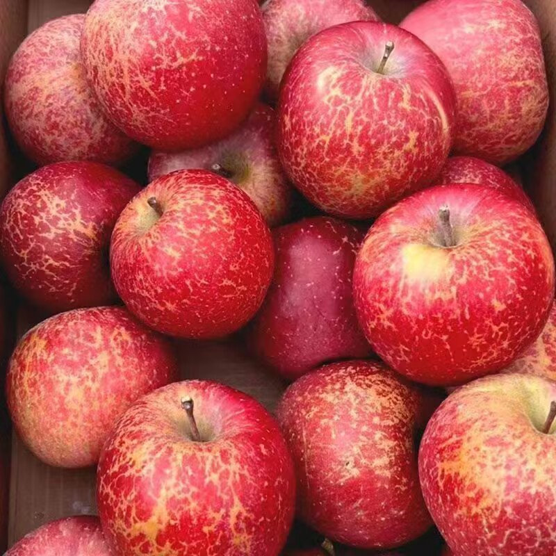 大凉山丑苹果9斤新鲜水果当季现摘盐源红富士冰糖心苹果包邮,水产肉类/新鲜蔬果/熟食,苹果,淘宝优惠券,粉丝福利购,淘宝优惠卷