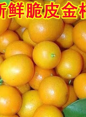 广西桂林脆皮金桔新鲜水果产地现摘现发小果当季5斤大果