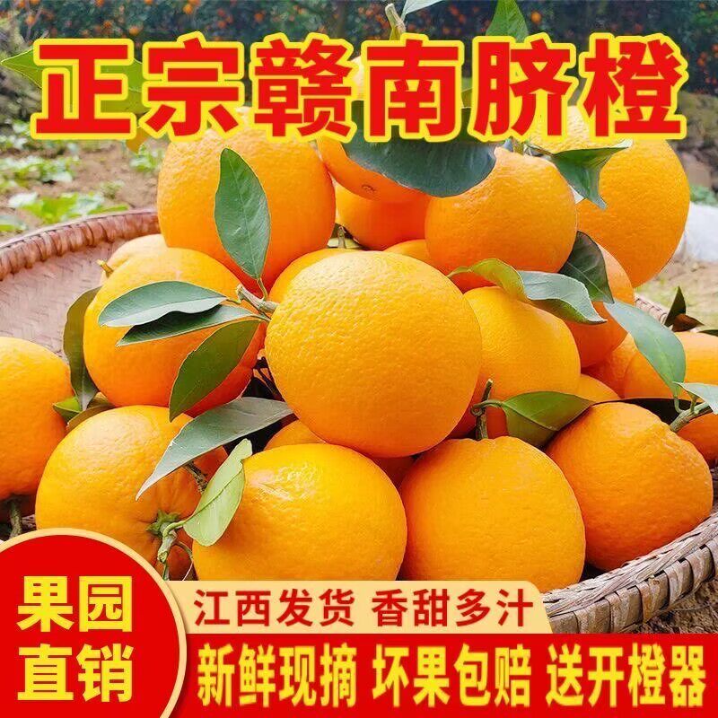 江西赣南脐橙橙子新鲜水果当季整箱10斤正宗精品冰糖赣州甜A