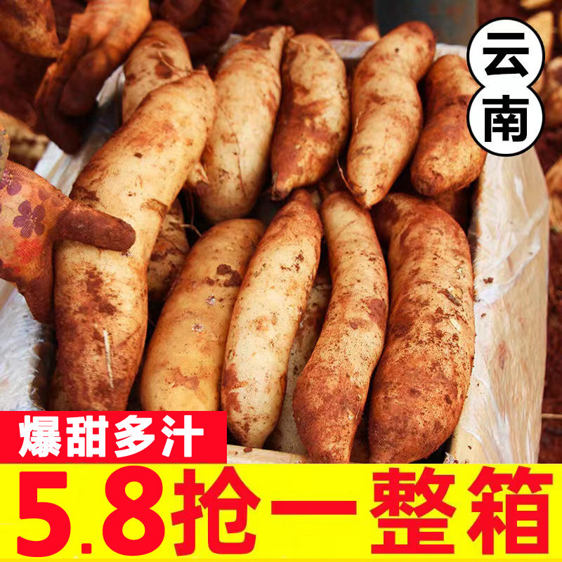 云南天山雪莲果新鲜10斤红心一级孕妇水果当季现挖黄心整箱雪连果,水产肉类/新鲜蔬果/熟食,雪莲果,淘宝优惠券,粉丝福利购,淘宝优惠卷