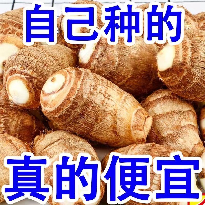 2023年山东牛奶小芋头5斤