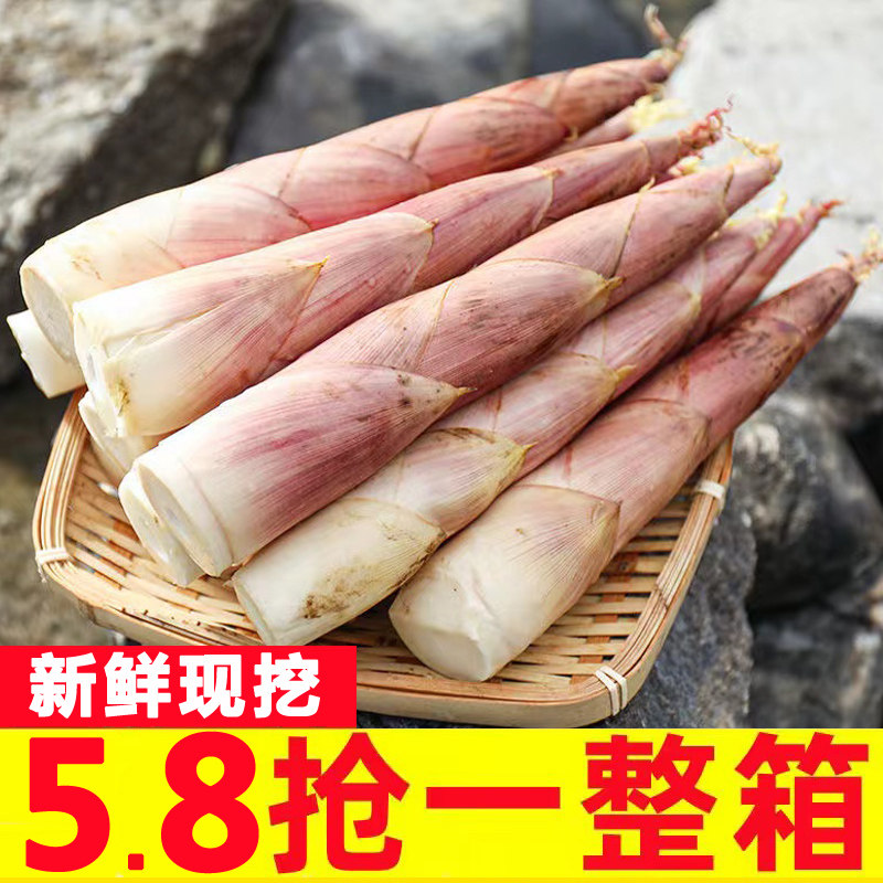 春笋正宗临安天目山春笋5斤小笋新鲜雷竹笋冬笋苦笋毛笋小笋冬笋