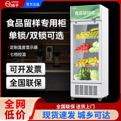 扬子家居冷藏保鲜幼儿园食品留样柜带锁餐厅食堂小冰箱商用留样柜