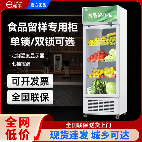 扬子家居冷藏保鲜幼儿园食品留样柜带锁餐厅食堂小冰箱商用留样柜