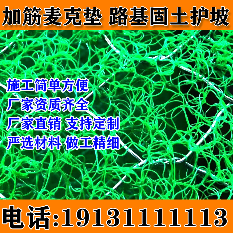 加筋麦克垫河道护土聚丙烯河道护坡生态绿化三维植被网固土植生垫