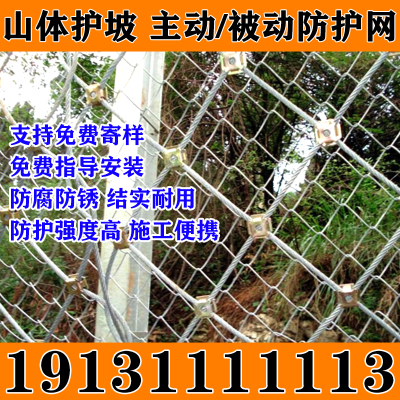 星鸿主动防护网被动环形防护网