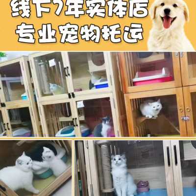 哈希娱乐- 哈希游戏平台- 哈希游戏官方网站别只盯着倍数看！2026 长焦手机五大隐形指标决定拍摄成败