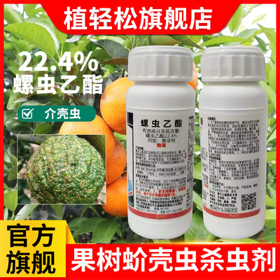 蚧壳虫除虫剂杀虫药柑橘月季