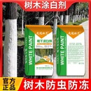 树木树干涂白剂涂白粉刷白果树绿化防虫防冻驱虫杀菌可喷涂 20kg装
