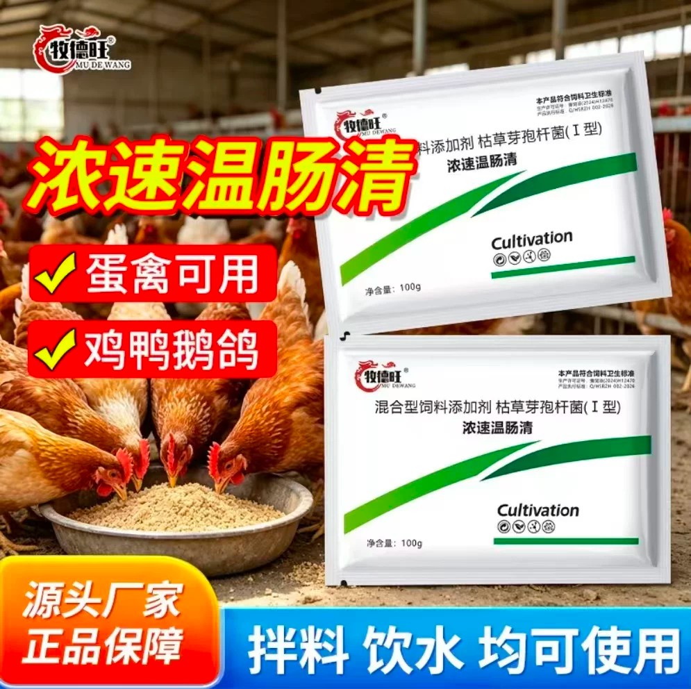牧德旺浓速温肠清枯草芽孢杆菌鸡鸭鹅禽用护肠胃饮水拌料两用