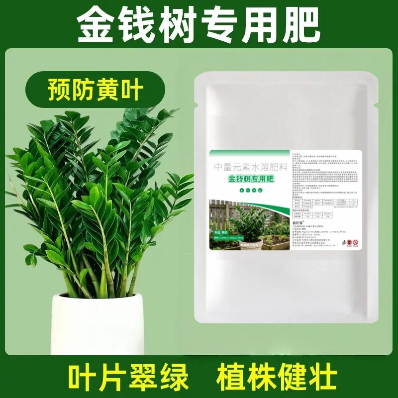 金钱树专用肥中量元素水溶肥料预防黄叶叶片翠绿植株健壮掺混肥