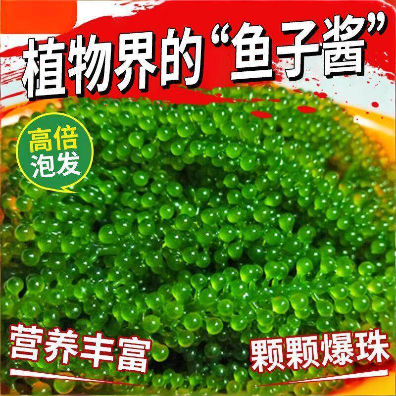 网红海葡萄100g新鲜即食盐渍海带海洋蔬菜绿色鱼子酱海藻菜送蘸料