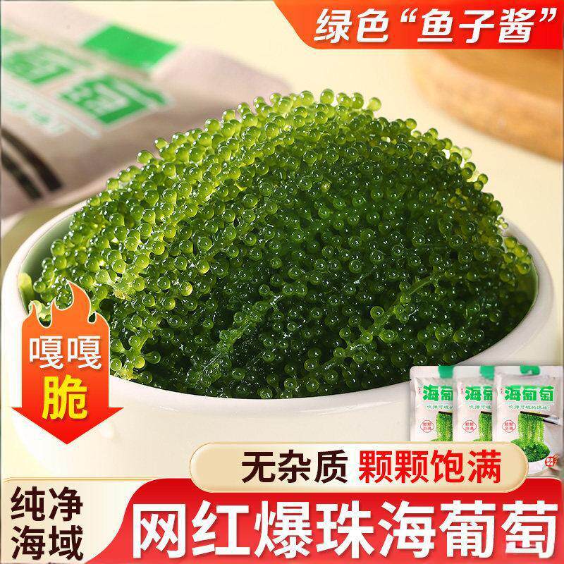 网红海葡萄100g新鲜即食盐渍海带海洋蔬菜绿色鱼子酱海藻菜送芥末