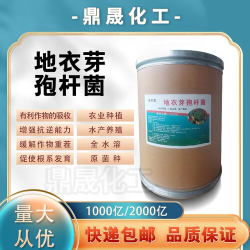 1000亿地衣全水溶芽孢杆菌分解有机质重茬护护苗促生根壮苗解磷菌