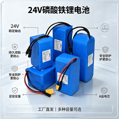 24V大容量磷酸铁锂电池