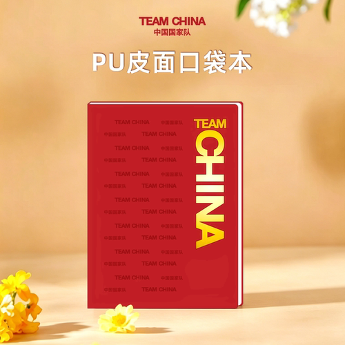 中国国家队熊猫笔记本