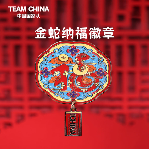 金蛇纳福徽章TEAMCHINA