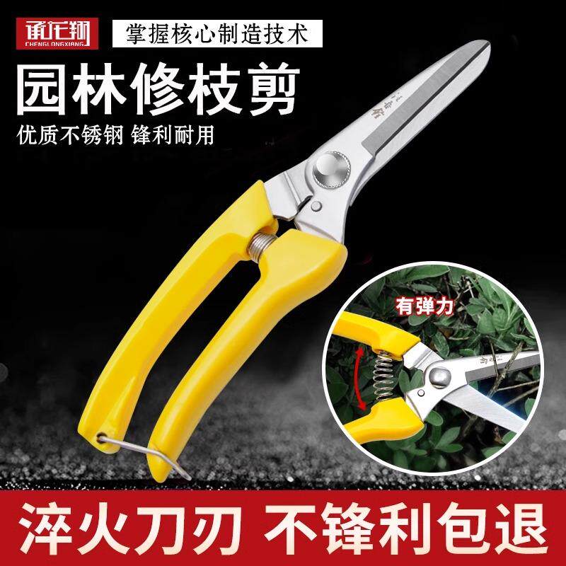 汪吾铨果树剪刀修枝神器摘果剪图片