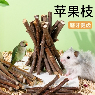 磨牙苹果枝兔子啃咬木仓鼠磨牙棒玩具甜竹磨牙神器零食荷兰猪