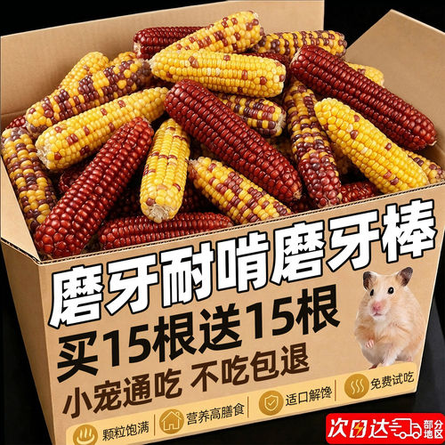 【养宠推荐】仓鼠磨牙耐啃小玉米
