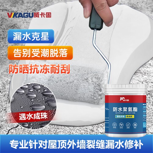 防水涂料 防水补漏