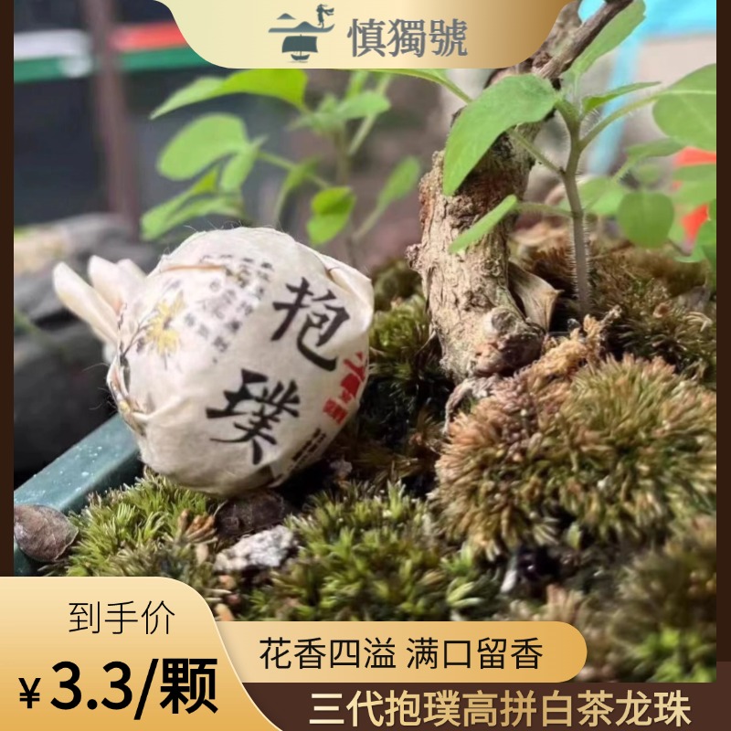 慎独号 爆品3代抱璞高拼白茶龙珠8g1颗装（10颗起拍免邮）2024年