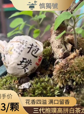 慎独号 爆品3代抱璞高拼白茶龙珠8g1颗装（10颗起拍免邮）2024年