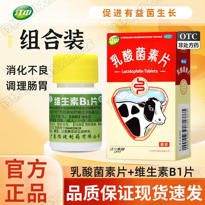 【江中】乳酸菌素片0.4g*32片/盒