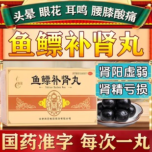 腾药鱼鳔补肾丸10丸正品补肾益精肾阳虚弱肾精亏损头昏眼花耳鸣