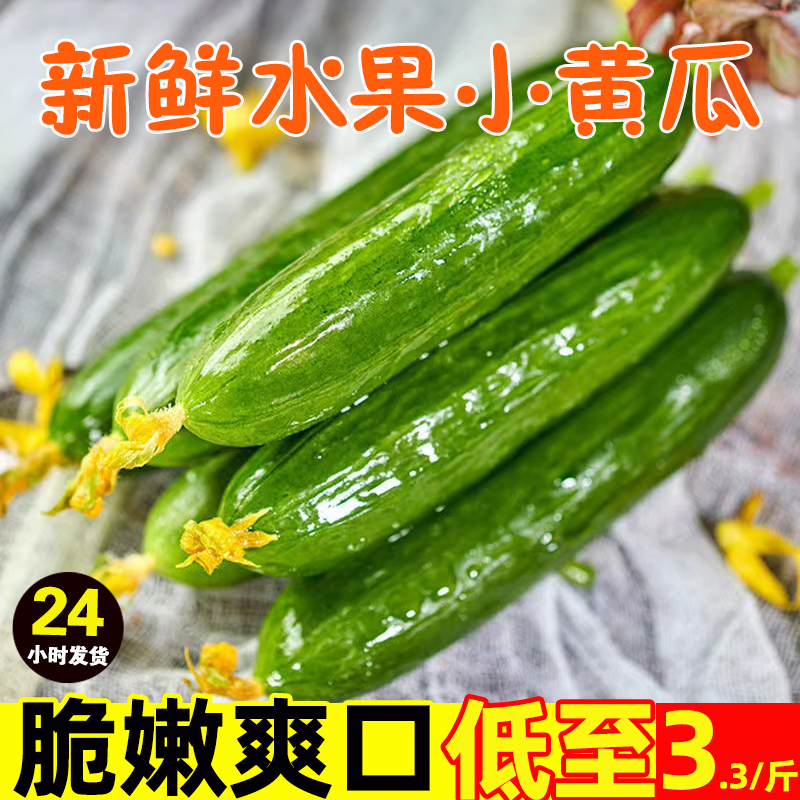 【16.8买5斤】水果黄瓜生吃新鲜