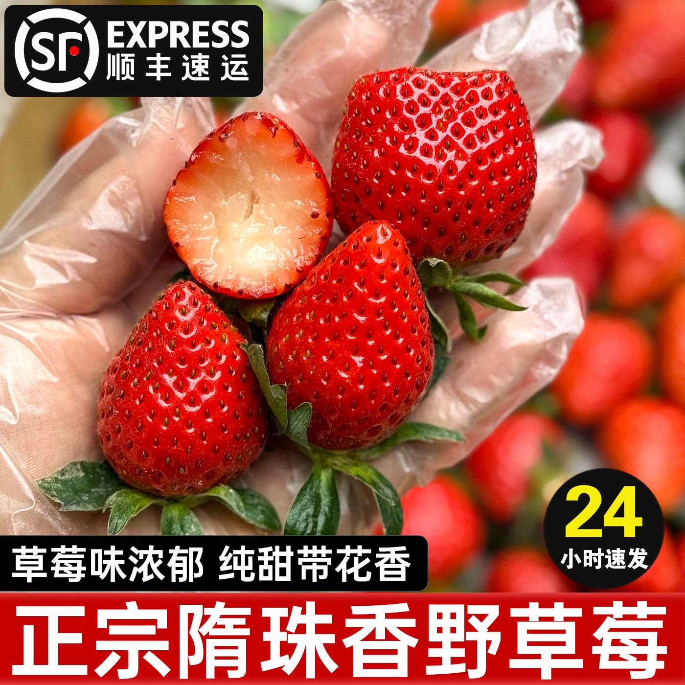 顺丰空运·正宗大凉山隋珠香野草莓新鲜水果礼盒现摘现发花香四溢,水产肉类/新鲜蔬果/熟食,草莓,淘宝优惠券,粉丝福利购,淘宝优惠卷