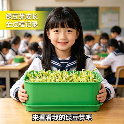 豆芽机家用发芽盆栽观察记录成长过程亲子互动科学实验儿童豆芽盘