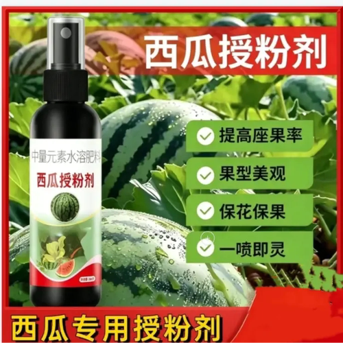 西瓜专用授粉剂提高坐果率免沾花授粉保花保果防落花落果膨大增产